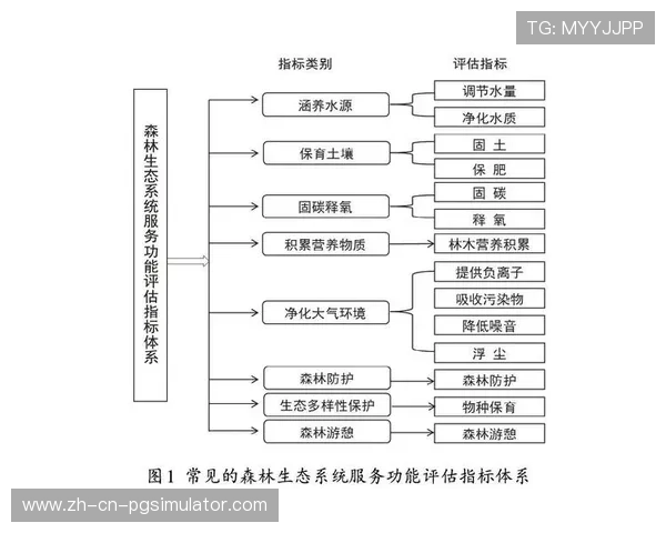 社会价值评估引入，衡量赛事综合影响